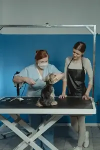 dog groomer tip calculator